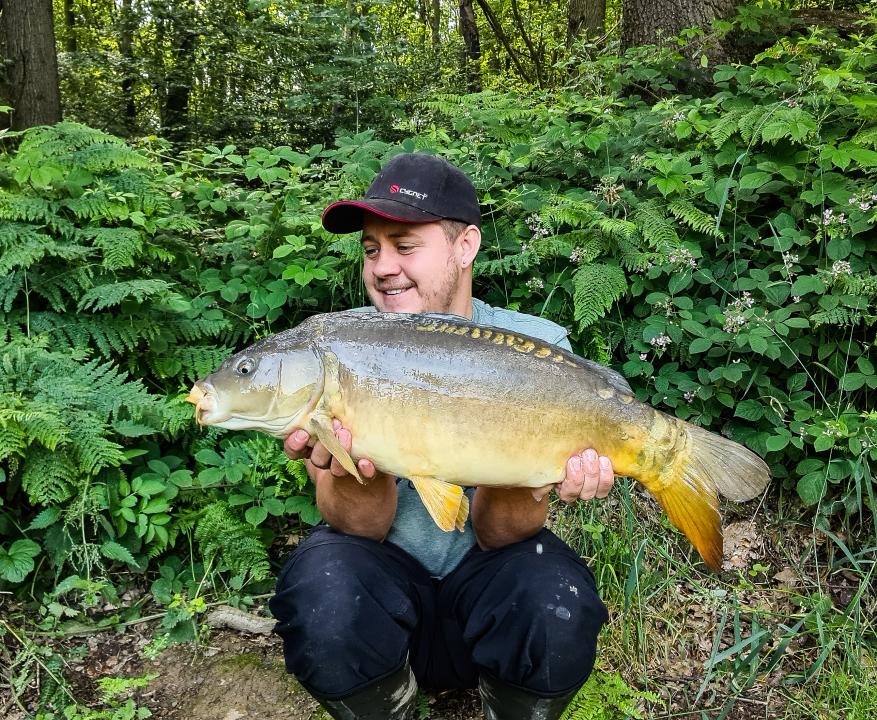 Mirror carp | Total Carp